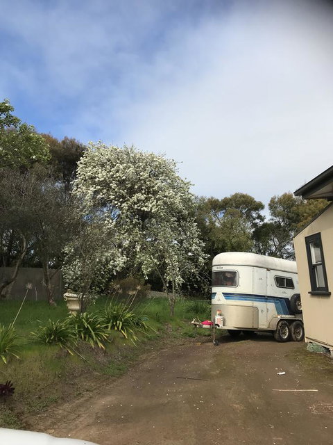 Hillâ€™s Creek Holiday Home - Melbourne Tourism 6