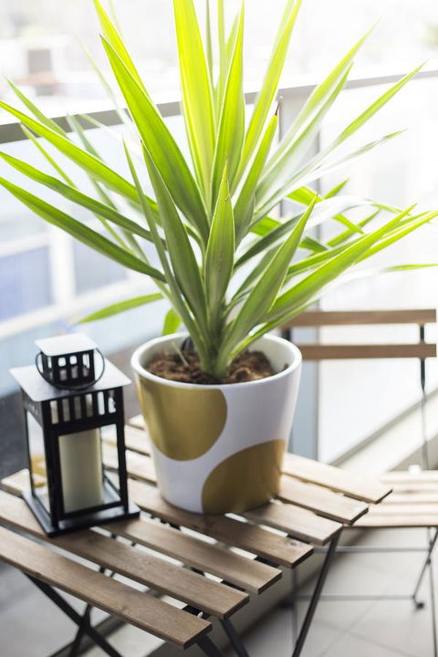 Complete Host 50 Claremont St Apartments - Melbourne Tourism 6