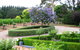 Waybourne- Vineyard And Winery - thumb 3