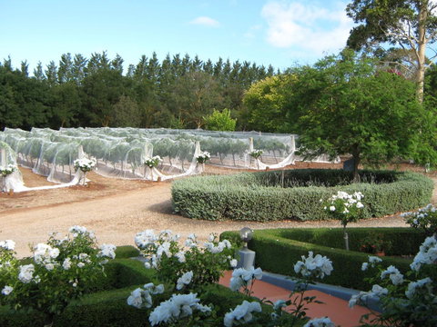 Waybourne- Vineyard And Winery - Melbourne Tourism 5