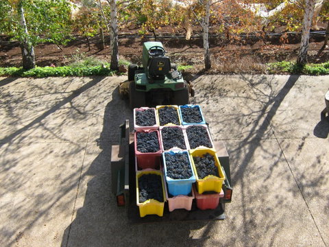 Waybourne- Vineyard And Winery - Melbourne Tourism 9