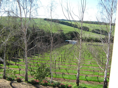 Waybourne- Vineyard And Winery - Melbourne Tourism 2