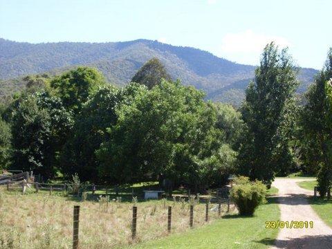 Aspens Springs Farmstay - Melbourne Tourism 30