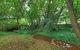 Aspens Springs Farmstay - thumb 21