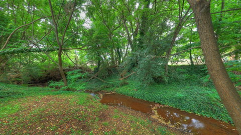 Aspens Springs Farmstay - Melbourne Tourism 21