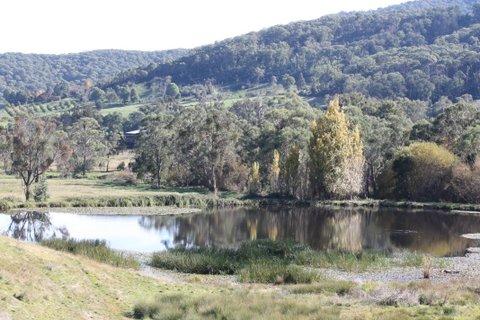 Aspens Springs Farmstay - Melbourne Tourism 29