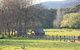 Aspens Springs Farmstay - thumb 25
