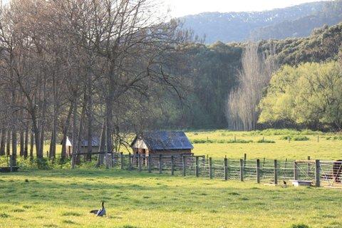 Aspens Springs Farmstay - Melbourne Tourism 25