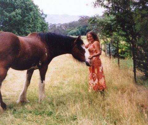 Aspens Springs Farmstay - Melbourne Tourism 31