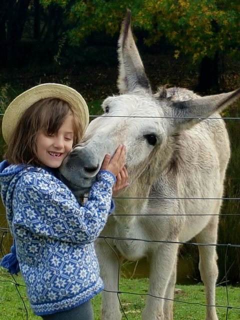 Aspens Springs Farmstay - Melbourne Tourism 32