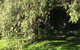 Moonah Woodlands Resort - thumb 37