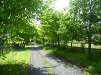 Book Wonga Park Accommodation Vacations Melbourne Tourism Melbourne Tourism