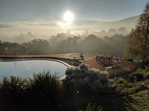 Kangaroo Manor - Melbourne Tourism 6