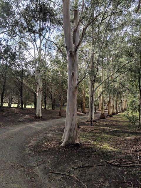 Kangaroo Manor - Melbourne Tourism 10