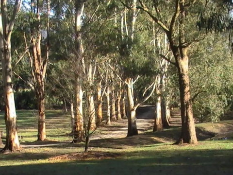 Kangaroo Manor - Melbourne Tourism 21