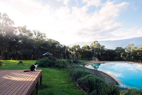 Kangaroo Manor - Melbourne Tourism 23