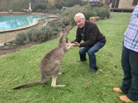 Kangaroo Manor - Melbourne Tourism 13