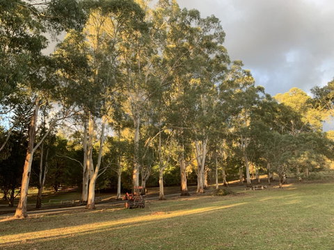 Kangaroo Manor - Melbourne Tourism 15