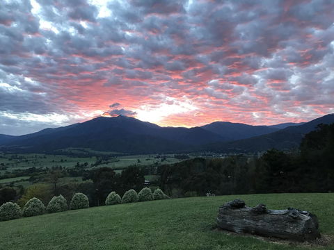 Allamar Motel - Melbourne Tourism 2