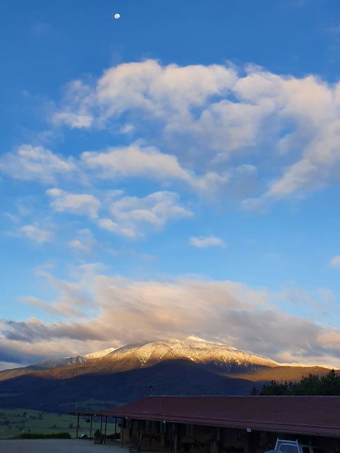 Allamar Motel - Melbourne Tourism 3