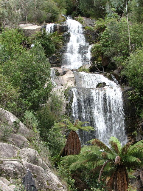 Allamar Motel - Melbourne Tourism 28