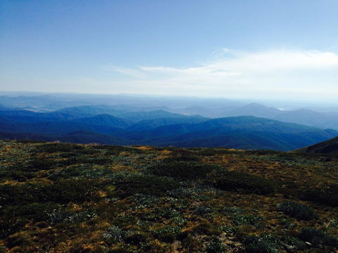 Allamar Motel - Melbourne Tourism 20