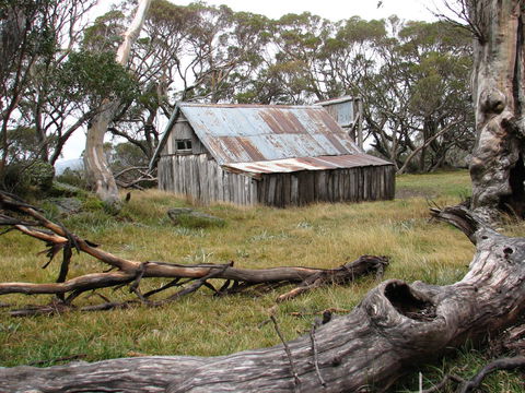 Allamar Motel - Melbourne Tourism 42