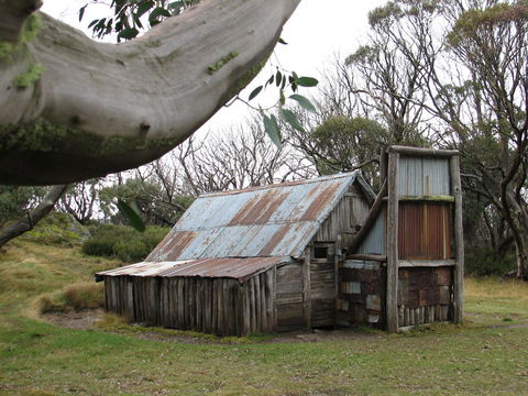 Allamar Motel - Melbourne Tourism 44