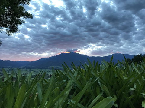 Allamar Motel - Melbourne Tourism 4