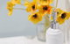 Airleigh-Rose Cottage - thumb 15