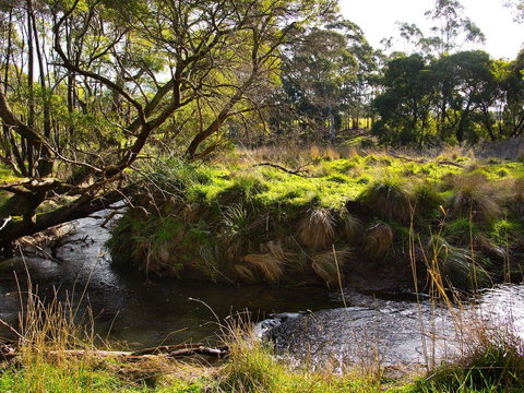 Green Gully House - Melbourne Tourism 5