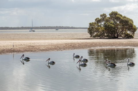 BIG4 Breeze Holiday Parks - Rainbow Beach - Melbourne Tourism 32