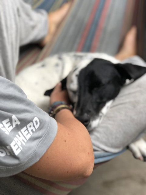 Backpackers At 1770 - Melbourne Tourism 15