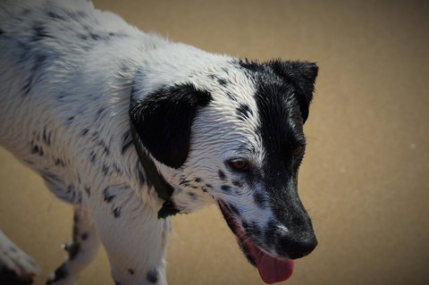 Backpackers At 1770 - Melbourne Tourism 21