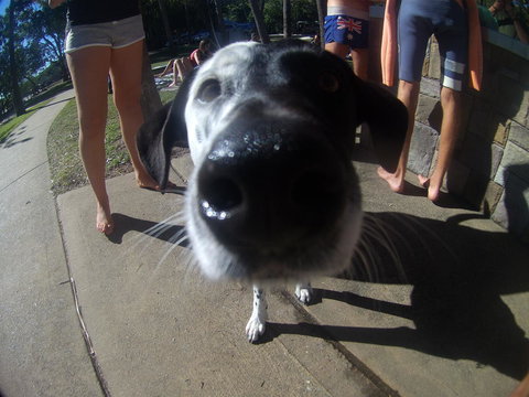 Backpackers At 1770 - Melbourne Tourism 2