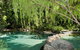 Thala Beach Nature Reserve - thumb 30