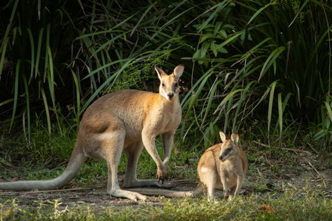 Thala Beach Nature Reserve - Melbourne Tourism 2