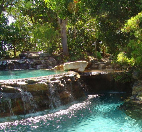 Thala Beach Nature Reserve - Melbourne Tourism 29