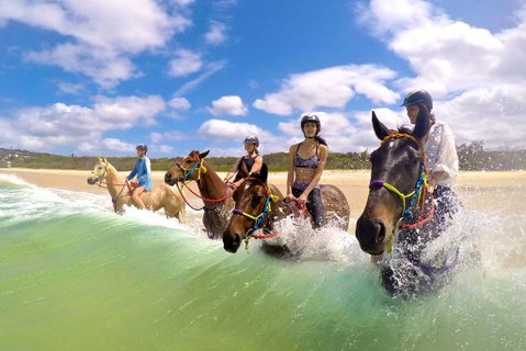 Salty Vibes Retreat - Melbourne Tourism 6