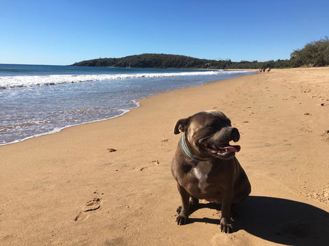 KiteSurf 1770 Beach House - Melbourne Tourism 12