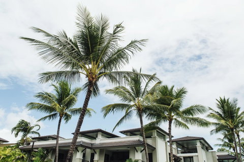 Pullman Port Douglas Sea Temple Resort And Spa - Melbourne Tourism 17