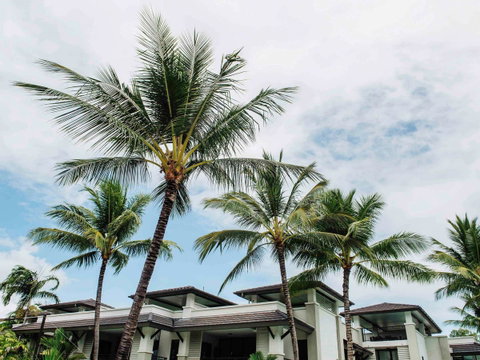 Pullman Port Douglas Sea Temple Resort And Spa - Melbourne Tourism 4