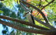 Sanctuary Palm Cove - thumb 7