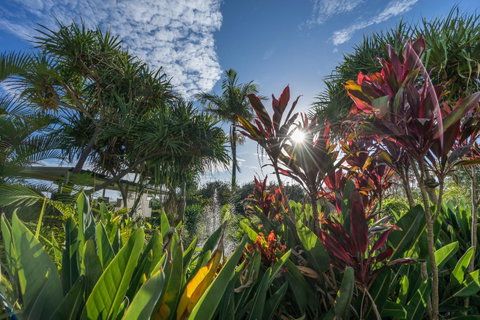 Currumbin Sands On The Beach - Melbourne Tourism 9