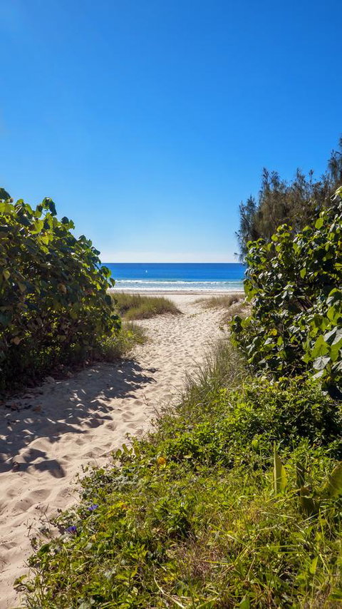Bilinga Beach Motel - Melbourne Tourism 26
