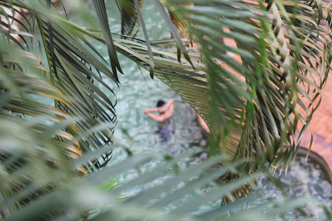 Coral Tree Inn - Melbourne Tourism 36