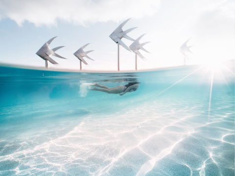 Coral Tree Inn - Melbourne Tourism 39