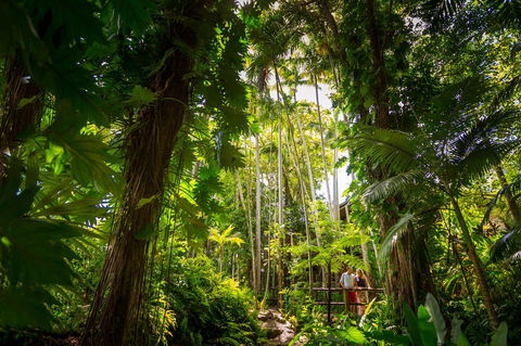 Cairns Colonial Club Resort - Melbourne Tourism 22
