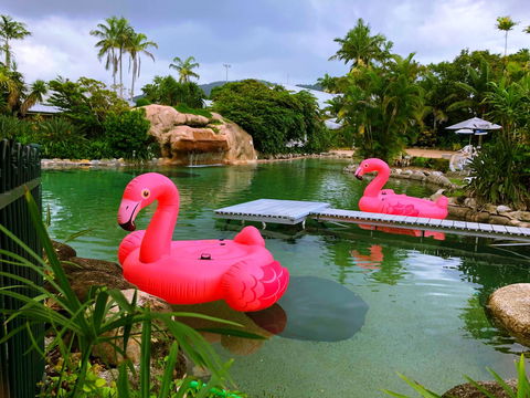 Cairns Colonial Club Resort - Melbourne Tourism 6