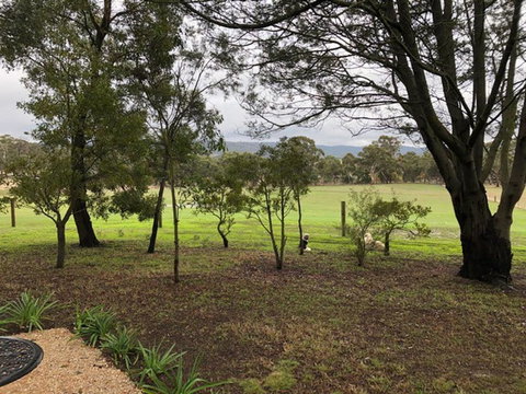 Willandra Tiny House - Melbourne Tourism 3